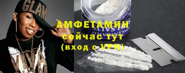 Альфа ПВП Няндома
