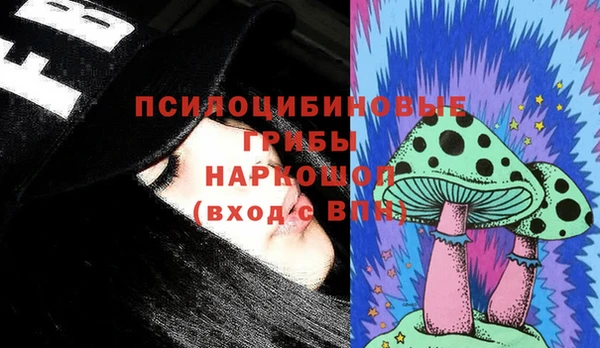 прущие грибы Нязепетровск