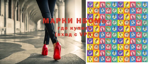 Альфа ПВП Няндома