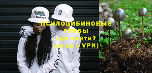 Альфа ПВП Няндома