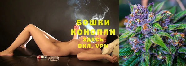 прущие грибы Нязепетровск