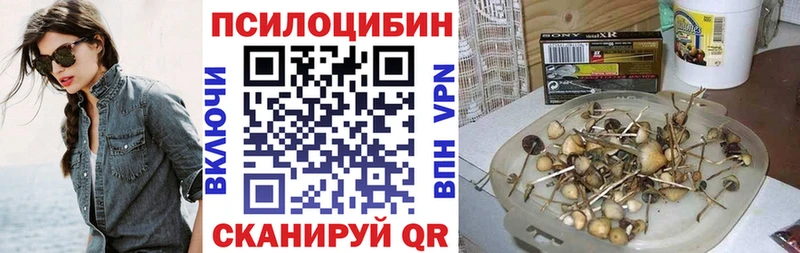 Псилоцибиновые грибы Magic Shrooms  где купить   Дербент 